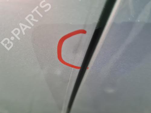 Left front door DACIA SANDERO III  | BP23992025C2 