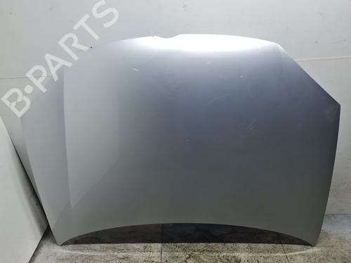 Hood VW GOLF V (1K1)  | BP21644387C1 