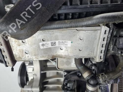 Engine VW T-CROSS (C11, D31)  | BP21638181M1  - Image 5