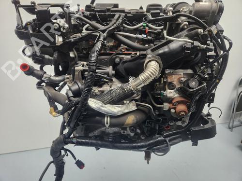 Engine FORD FIESTA VI (CB1, CCN) | BP30614160M1