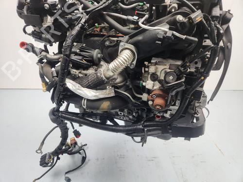 Engine FORD FIESTA VI (CB1, CCN) | BP30614160M1