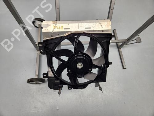 Radiator fan CITROËN C3 II (SC_) | BP31965846M35