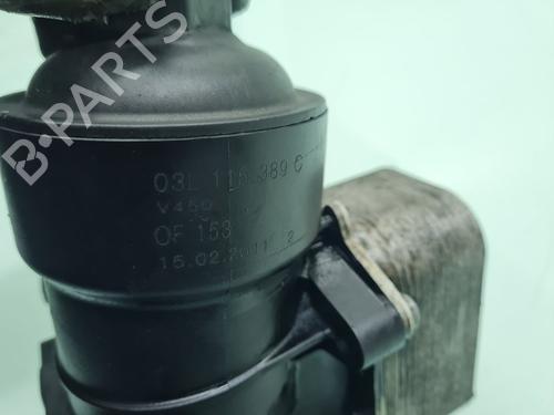 Oil radiator AUDI A3 Sportback (8PA) 2.0 TDI | BP21659470M33 