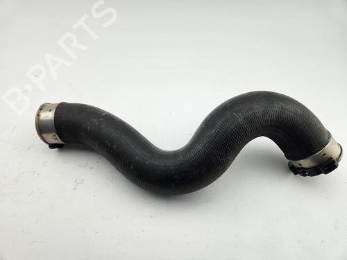 Pipe BMW 1 (F20) 116 d | BP31872564M125