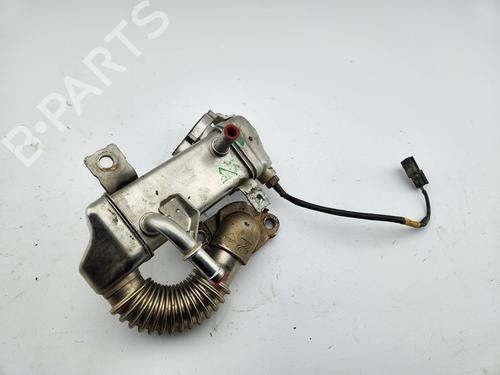 Used Egr Egr RENAULT SCÉNIC III (JZ0/1_) [2008-2016] 30319136 30319136