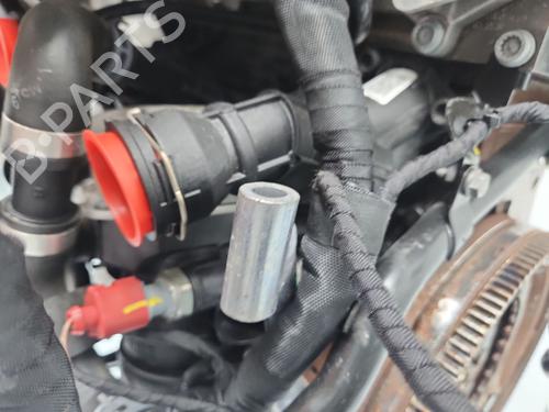 Engine AUDI A3 Sportback (8VA, 8VF) 1.6 TDI | BP36808206M1 - Image 4