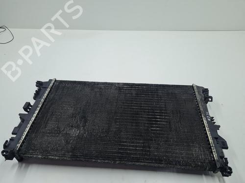 Used Water radiator MERCEDES-BENZ VITO / MIXTO Van (W639) 111 CDI (639.601, 639.603, 639.605) (109 hp) 21636590