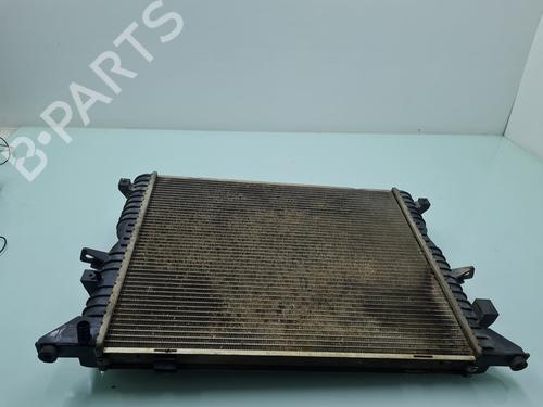 Køler LAND ROVER DEFENDER Station Wagon (L316) 2.4 Td4 4x4 (L316) | BP21654812M31 