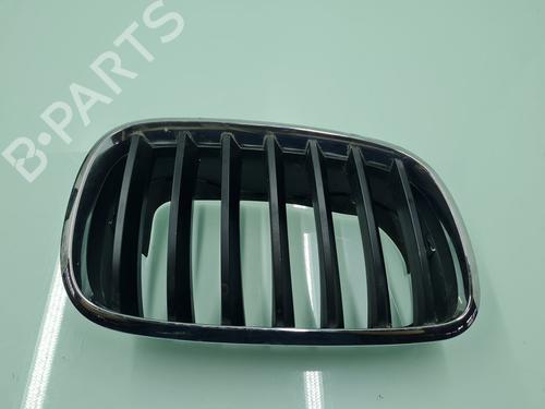Used Grille BMW X5 (E70) xDrive 30 d (245 hp) 21655556
