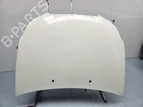 Hood LANCIA DELTA III (844_)  | BP30061595C1 