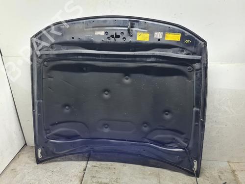 Hood LEXUS GS (_S19_)  | BP21766495C1 