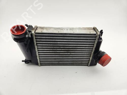 Intercooler RENAULT KADJAR (HA_, HL_) 1.5 dCi 110 (HLA3) | BP29505057M30 