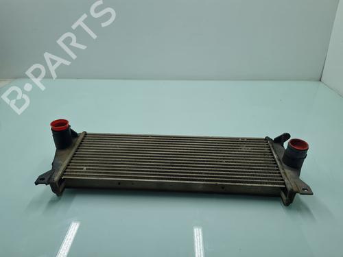 Intercooler LAND ROVER DEFENDER Station Wagon (L316) 2.5 Td5 4x4 (L316) | BP21653337M30 