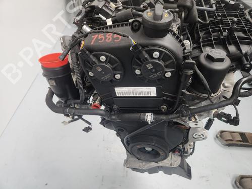 Engine AUDI Q5 Sportback (FYT) 45 TFSI Mild Hybrid quattro | BP26697598M1 