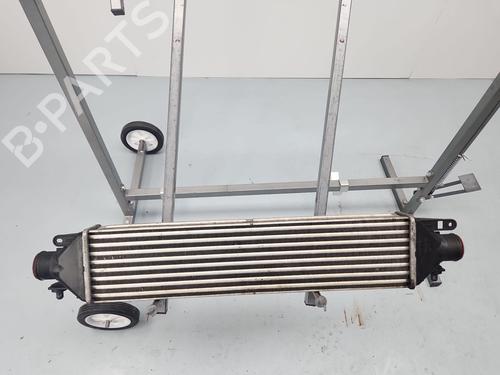 Intercooler FIAT DOBLO Cargo (263_) | BP37270449M30 - Image 3