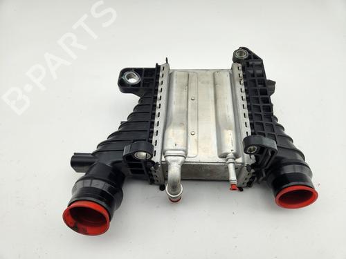 Intercooler RENAULT CLIO V (B7_)  | BP29856075M30