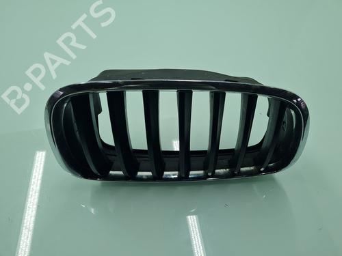 Grille BMW X5 (E70) xDrive 30 d | BP21655556C40 