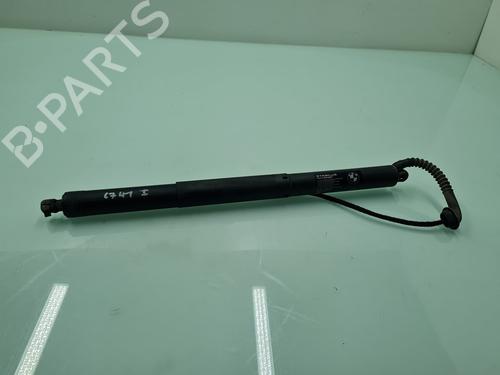 Tailgate lift support BMW X5 (F15, F85) xDrive 30 d | BP21654360C138