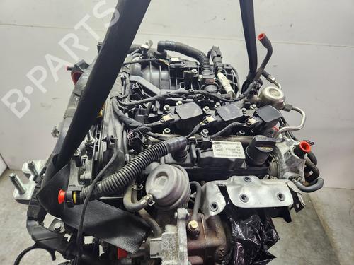 Used Engine FORD FIESTA VII (HJ, HF) [2017-2025]  21650085