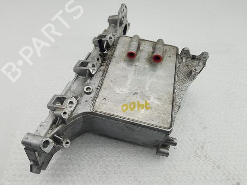 Manifold Indsugning Manifold Indsugning VW TIGUAN (AD1, AX1) [2016-2024] 35919674 35919674