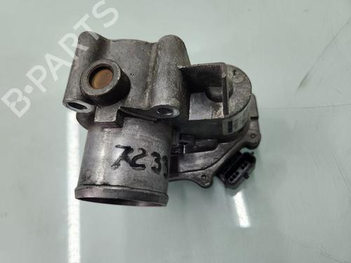 Throttle body NISSAN QASHQAI / QASHQAI +2 I (J10, NJ10, JJ10E)  | BP24586370M82 