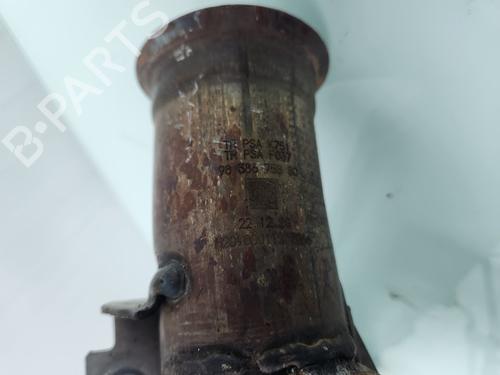 Catalyst PEUGEOT 208 II (UB_, UP_, UW_, UJ_) | BP29982876M10