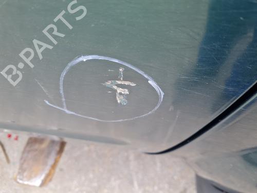 Right front door NISSAN PATHFINDER III (R51)  | BP21649451C3 
