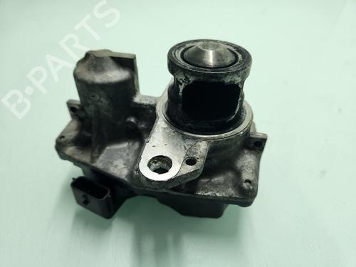 Egr RENAULT TRAFIC III Van (FG_) | BP29548039M69