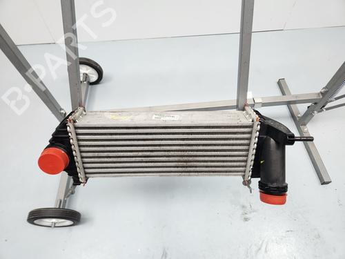 Used Intercooler Intercooler RENAULT KANGOO / GRAND KANGOO II (KW0/1_) [2008-2026] 29932897 29932897