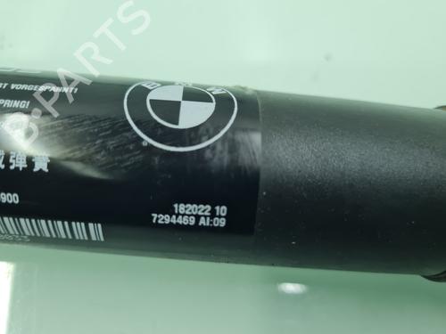 Tailgate lift support BMW X5 (F15, F85) xDrive 30 d | BP21654361C138 