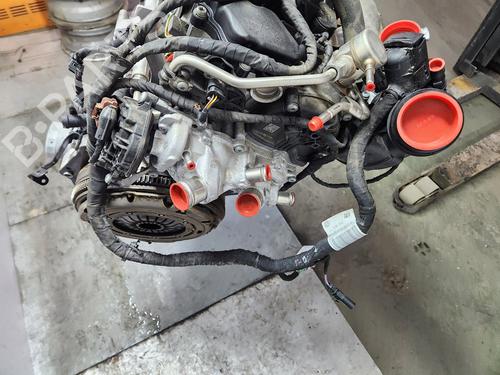 Engine VW GOLF VII (5G1, BQ1, BE1, BE2)  | BP26592580M1 
