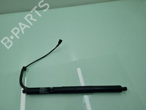 Tailgate lift support BMW X5 (F15, F85) xDrive 30 d | BP21654361C138 