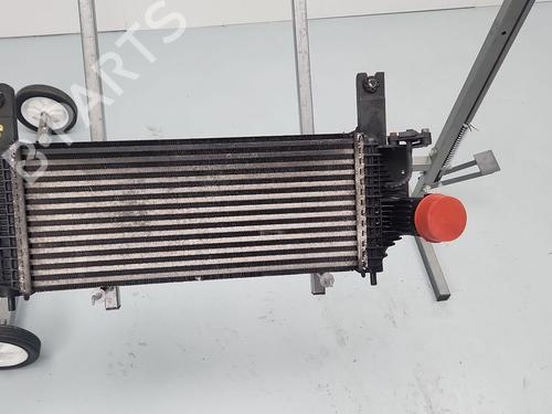 Used Intercooler Intercooler NISSAN PATHFINDER III (R51) [2005-2026] 36161986 36161986