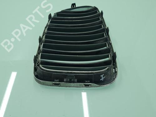 Grille BMW X1 (E84) sDrive 20 d | BP21641010C40 