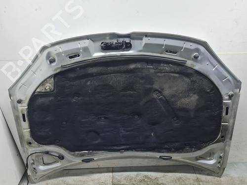 Hood VW GOLF V (1K1)  | BP21644387C1 