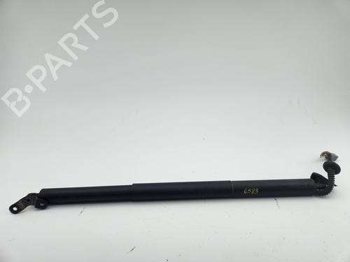 Used Tailgate lift support Tailgate lift support FORD KUGA II VAN 2.0 TDCi (120 hp) 34401363 34401363