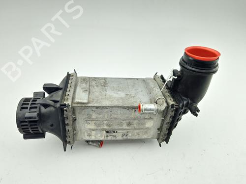Used Intercooler Intercooler CUPRA FORMENTOR (KM7, KMP) [2020-2026] 40179242 40179242