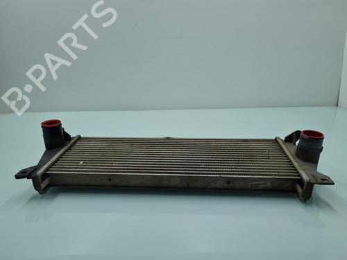 Intercooler LAND ROVER DEFENDER Station Wagon (L316, L315) 2.5 Td5 4x4 (L316) | BP21652779M30 