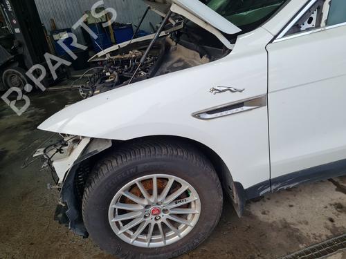 BP31573643C41 main image