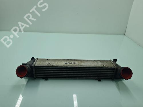 Intercooler BMW 3 (E90) 318 d | BP21656065M30 - Image 1