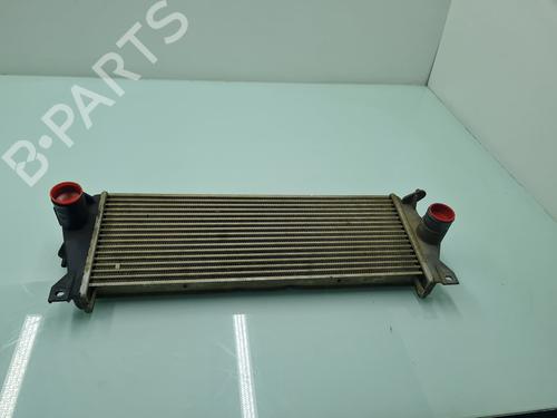 Intercooler LAND ROVER DEFENDER Station Wagon (L316, L315) 2.5 Td5 4x4 (L316) | BP21654355M30 
