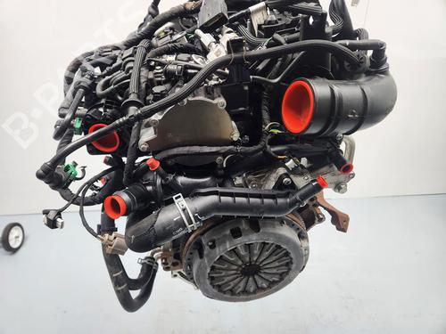 Engine FORD FOCUS IV (HN) | BP32206392M1 - Image 4