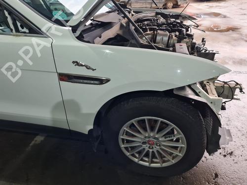 BP31573645C42 main image