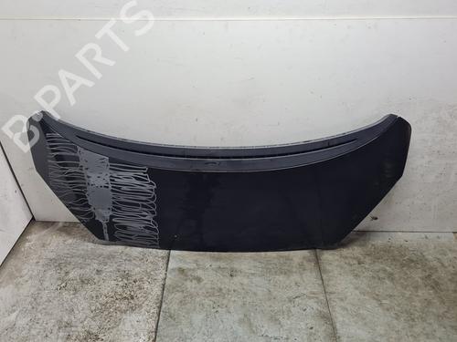 Used Hood PEUGEOT 1007 (KM_) 1.4 HDi (68 hp) 21866507