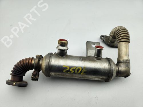 Egr FORD FOCUS II (DA_, HCP, DP)  | BP28360366M69