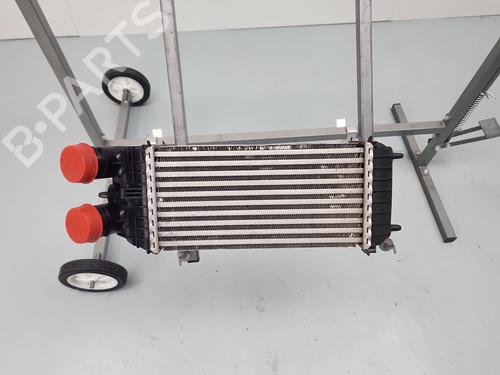 Intercooler Intercooler CITROËN C4 CACTUS 1.2 THP 110 (110 hp) 36798978 36798978