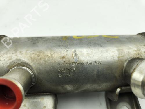 Egr FORD FOCUS II (DA_, HCP, DP)  | BP28360366M69