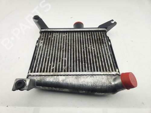 Ladeluftkühler TOYOTA RAV 4 II (_A2_)  | BP30200570M30 