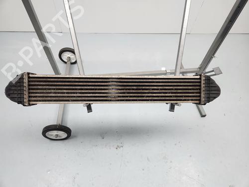 Used Intercooler MERCEDES-BENZ A-CLASS (W169) A 180 CDI (169.007, 169.307) (109 hp) 31924245