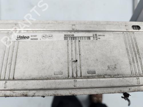 Ladeluftkühler DS DS 4 / DS 4 CROSSBACK (NX_)  | BP29722617M30 